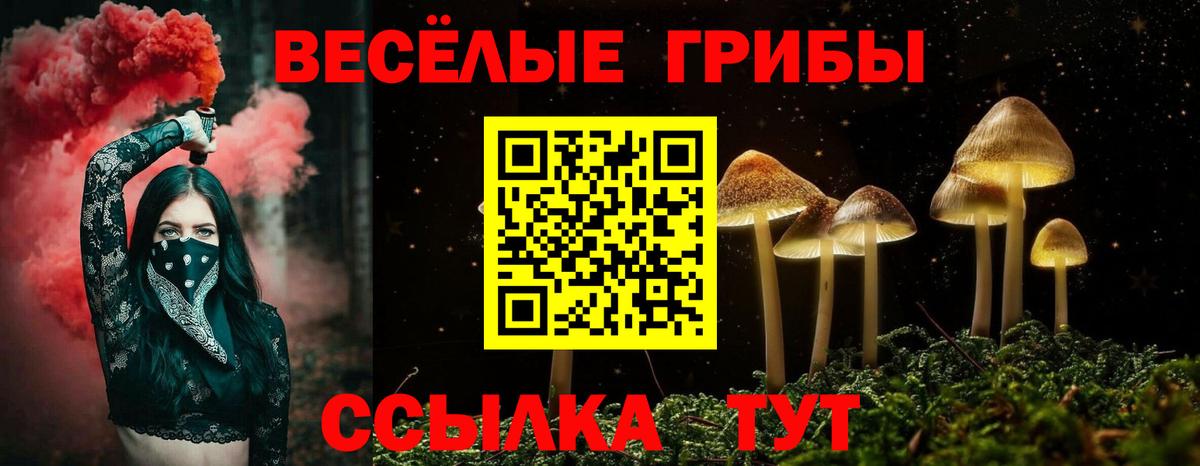 Псилоцибиновые грибы мухоморы  Вход с VPN  Новокубанск 
