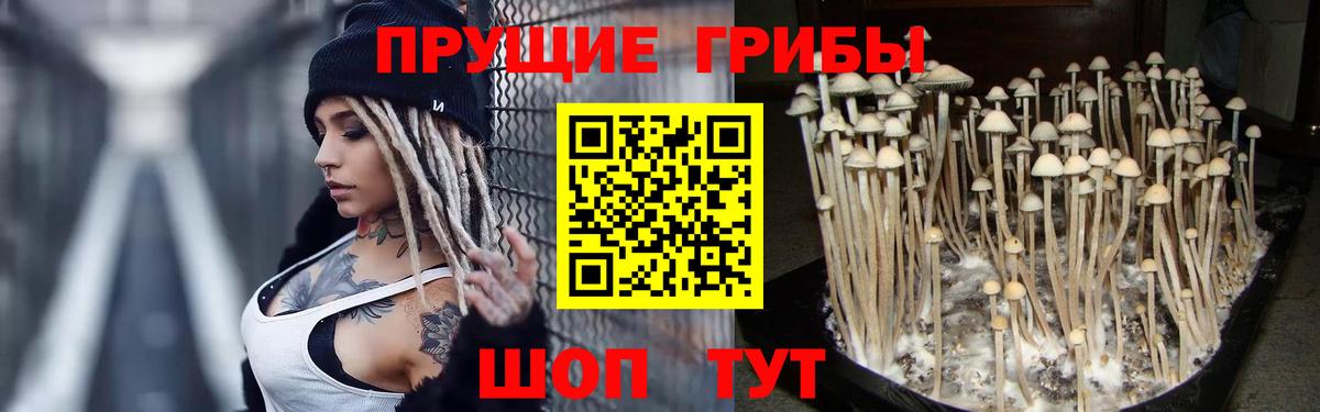 Псилоцибиновые грибы прущие грибы Новокубанск